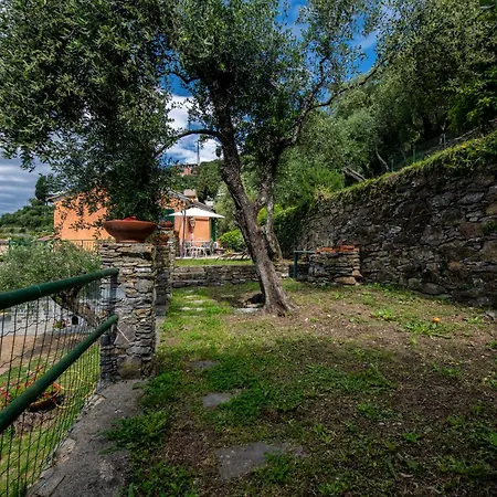 Διαμέρισμα 231c- Casa Sant'ambrogio Vista Mare, 2 Chilometri Dal Centro Di E Dal Mare